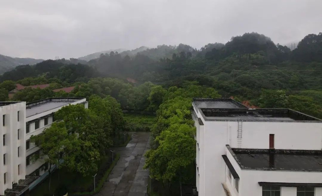 [جولة جذور] الانضمام إلى أيدي هونغجيانغ ، تجديد الحب زيانغي!